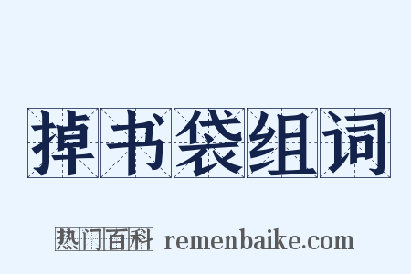 掉书袋组词是什么意思的图片